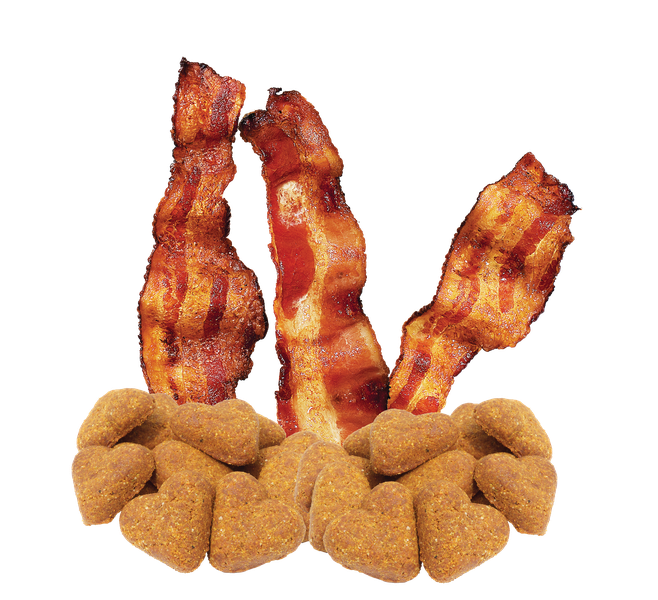 Grain Free Bacon Flavor Dog Treats