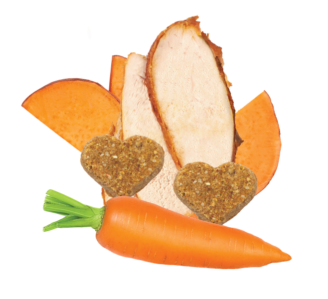 Grain Free Turkey & Vegetable Recipe Mini Dog Treats